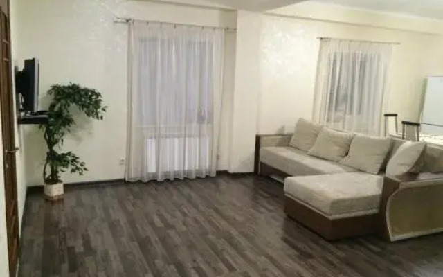 Apartment Turgeneva 236/1