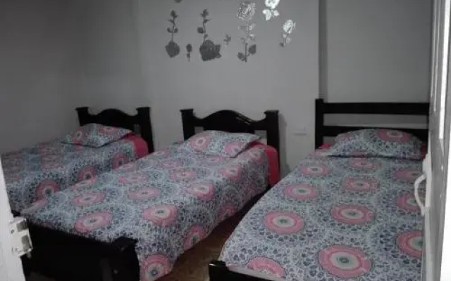 Hotel Orquídea 19
