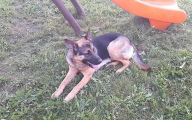 Pannonia Appartmenthaus