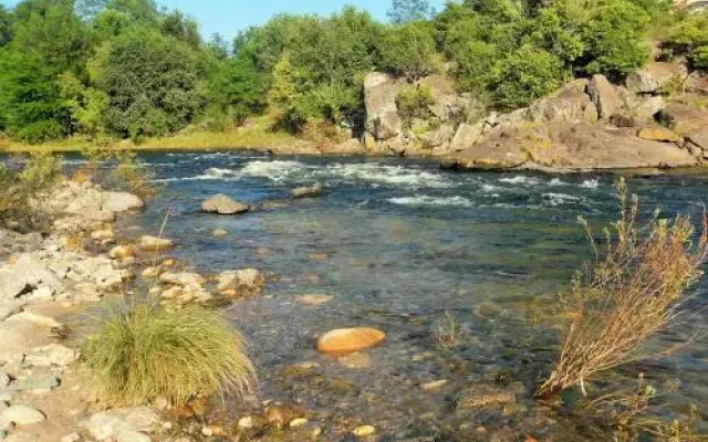 Miralrio