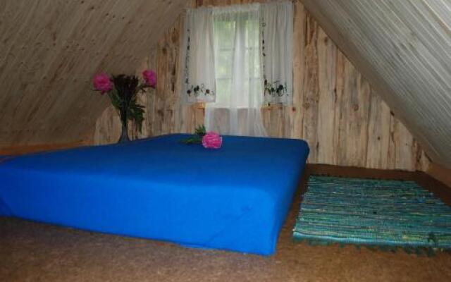 Hallikivi Tourist Farm