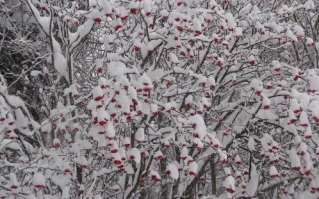 Ostello Per La Gioventù