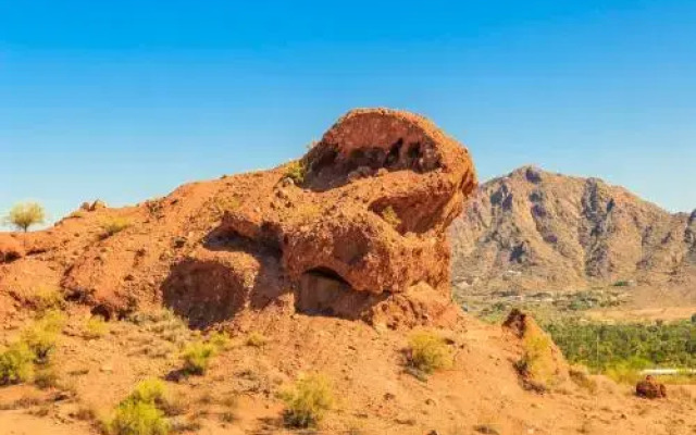 Primrose, Paradise Valley