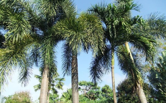 Coconut Villa
