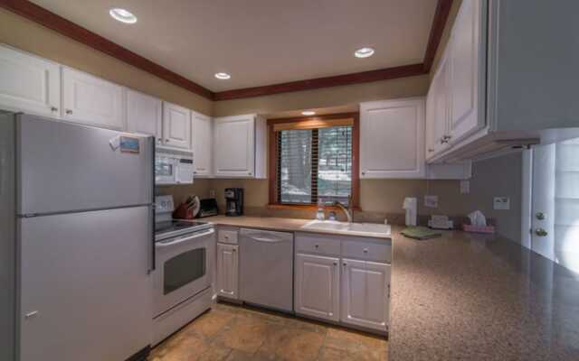 Wolf Tree by Red Awning