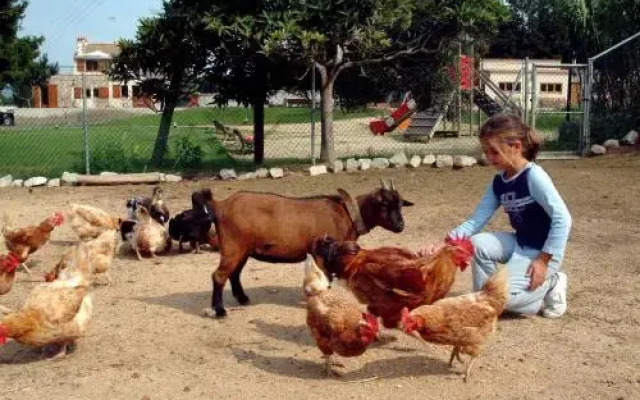 Allotjaments Rurals Vallplana