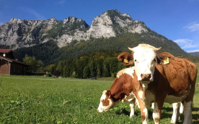 Pension Vorderponholz