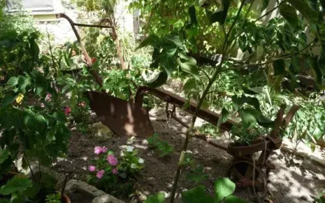 B&B Nonna Peppina