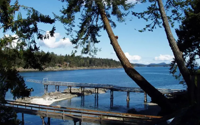 Arbutus Point Oceanfront B & B