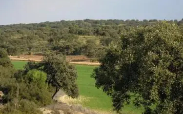 La Moragona