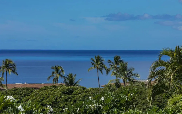 Wailea Ekolu #503
