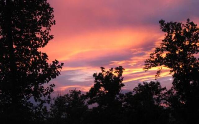 Southern Serenity - One Bedroom Cabin