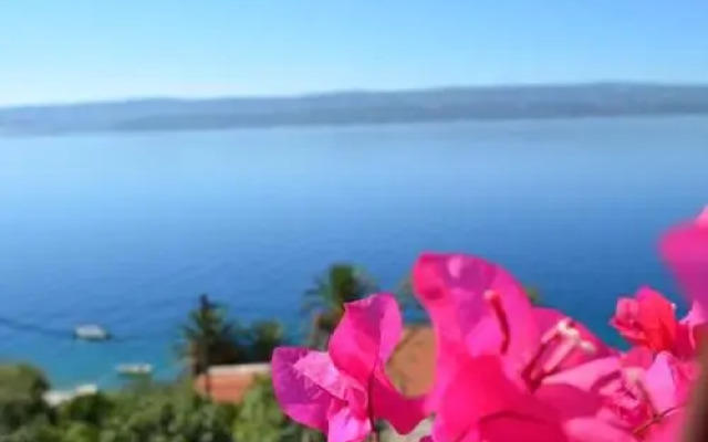 Holiday Villa in Omiš