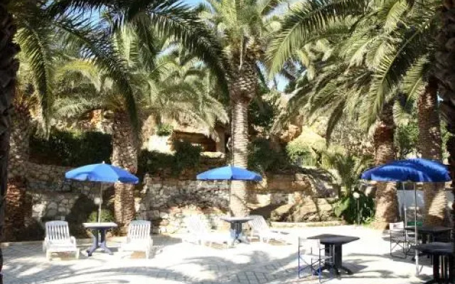 Le Palme Vacanze