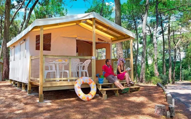 Camping  Le Bois Damour