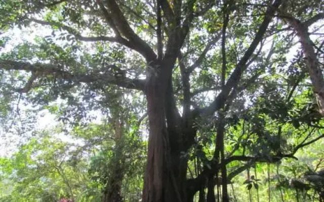 Fazenda São Miguel