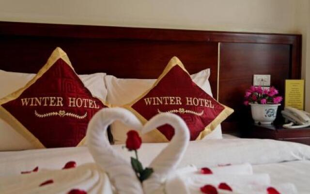 Sapa Winter Hotel