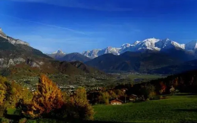 Le Chalet Vue Mont-Blanc