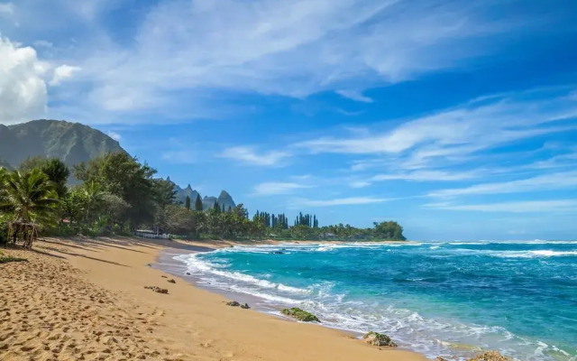 Hale O'Pulelehua 4Br Home