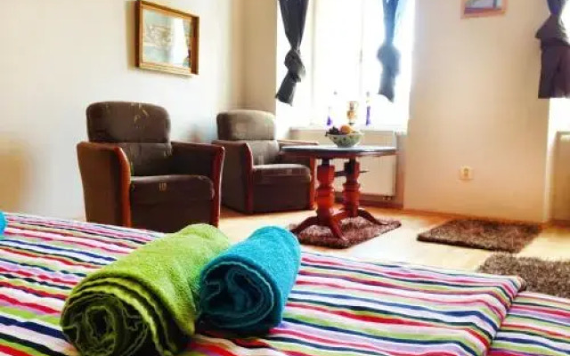 Rybna Large Apartment