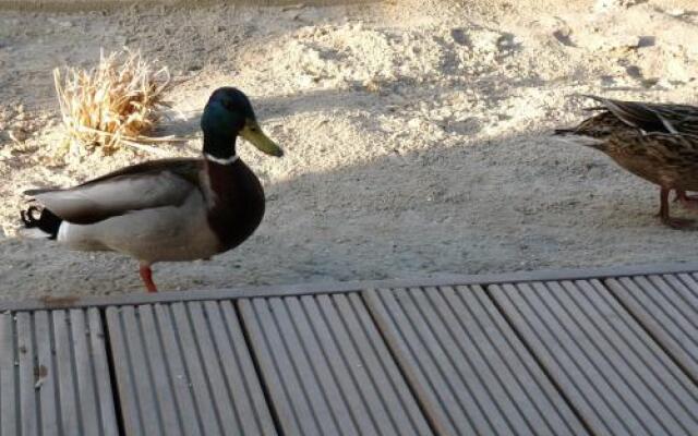 Das GrachtenDOMiZiL Greetsiel