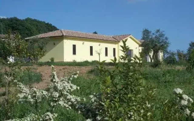Fior Divino