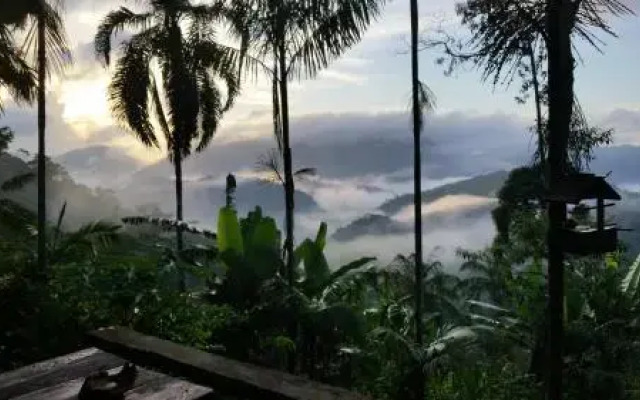 Hostel Radical Adventure
