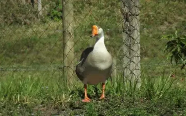 Hotel Fazenda Moinho Dagua