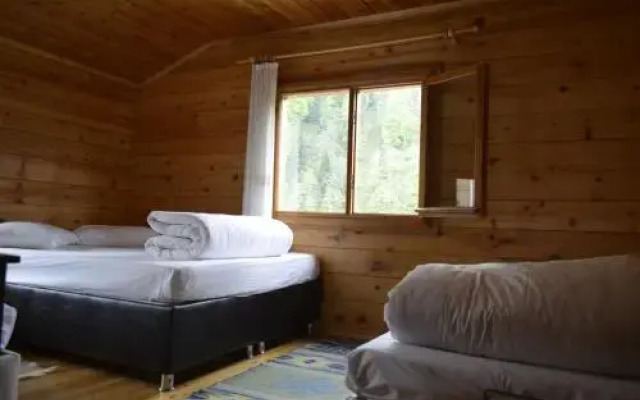 Ayder Bulma Apartment
