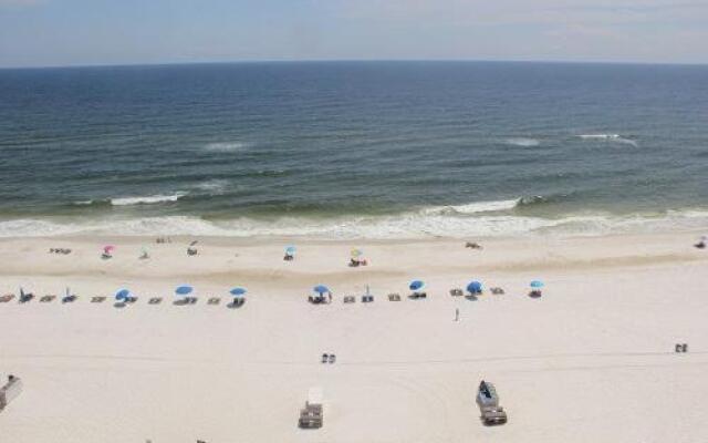 Royal Palms 1107 by RedAwning