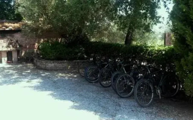 La Vecchia Quercia