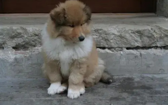 Casale Le Due Querce