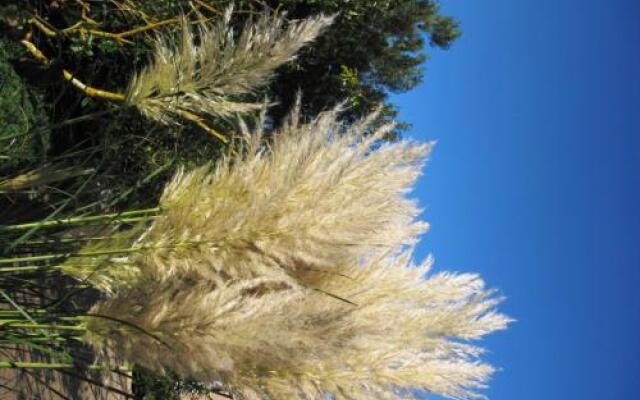 Duinen Paradijs Zandvoort