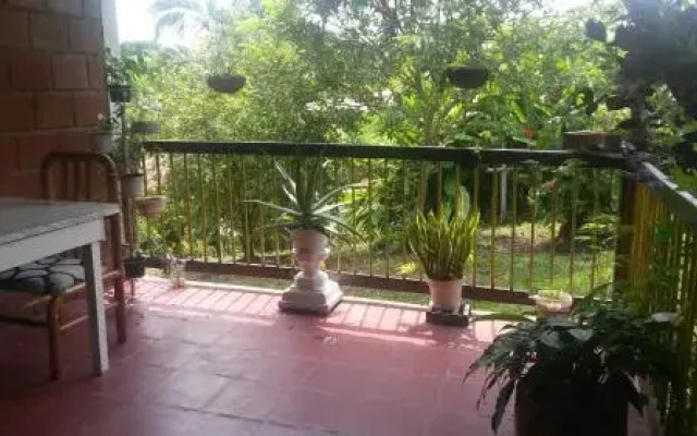 Finca Maranatha