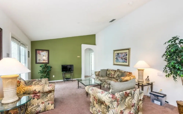 Orange Tree 3309