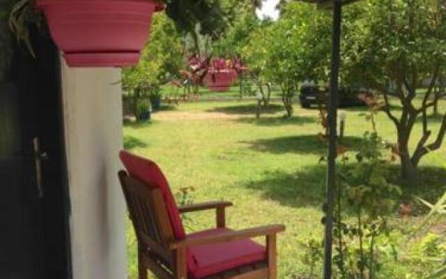 Cirali Friends Pension&Camping