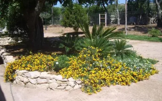 Tenuta Biddemi B & B