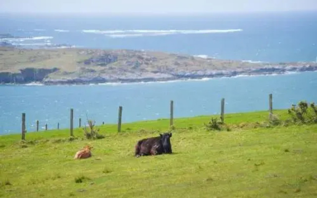 Cottage 171 - Clifden