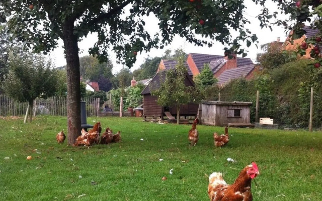 Cider Cottages