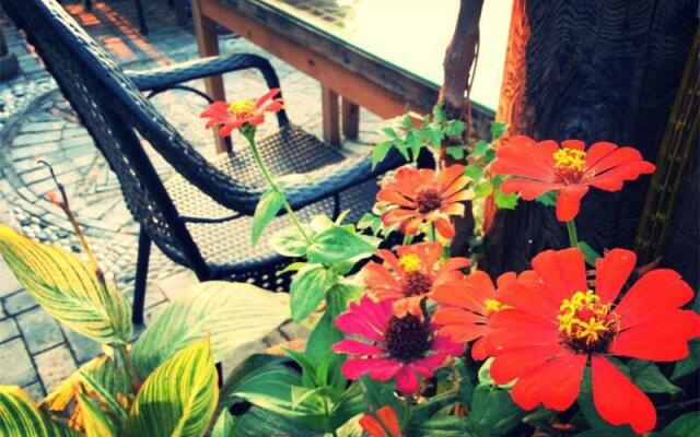 Zhouzhuang Zhenfeng Riverside Courtyard Hostel