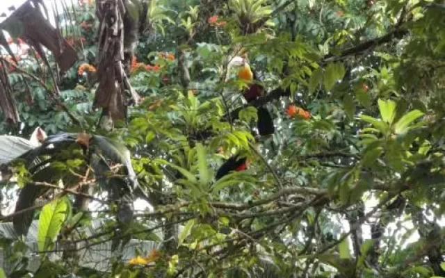 Pousada Arboretum