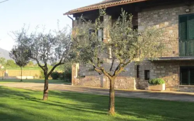 La Strada Di Francesco DAssisi