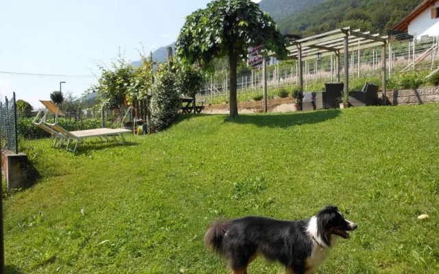 Agriturismo Haus Tirol