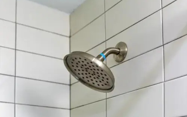 Stay Alfred on 12th Street