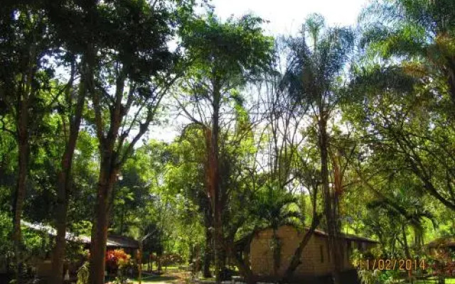 El Bosque Hotel