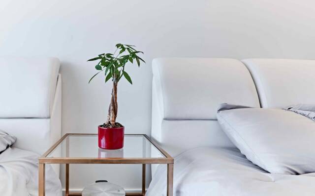 2 Storey Downtown Townhouse