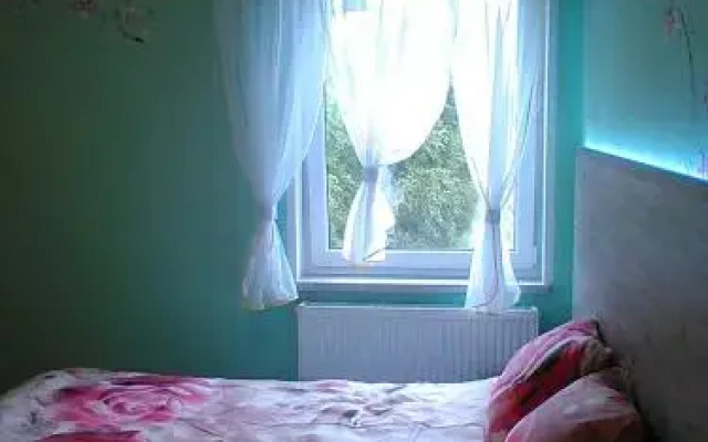 Róża Wiatrów