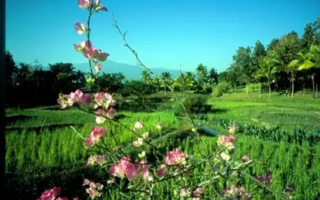 Lana Thai Villa