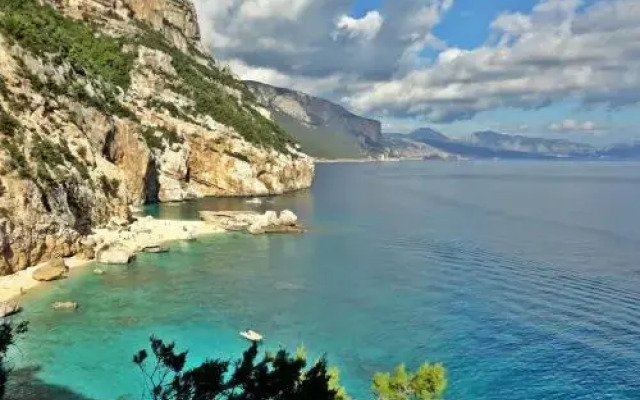 Appartamenti Le Mimose