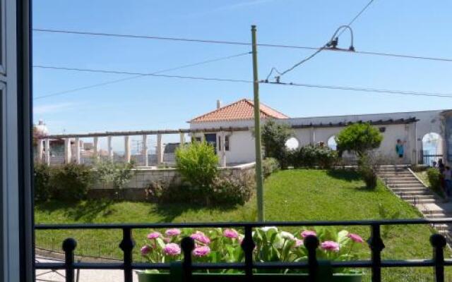 Dalma Flats - Garden